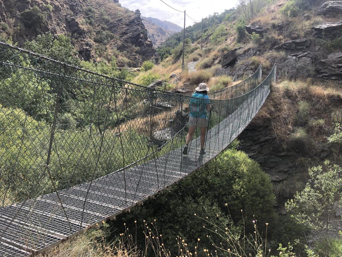 Suite Ladero Alto Sierra Nevada 圭哈尔谢拉 外观 照片
